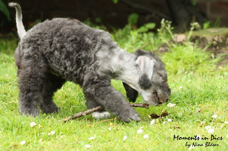 Antares 2009-07-12 (5).JPG